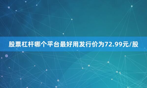股票杠杆哪个平台最好用发行价为72.99元/股