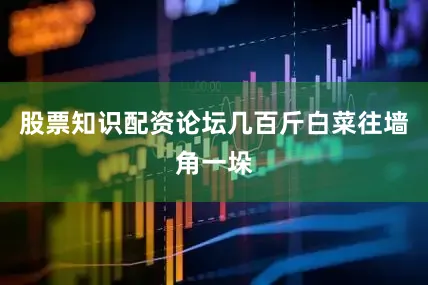 股票知识配资论坛几百斤白菜往墙角一垛