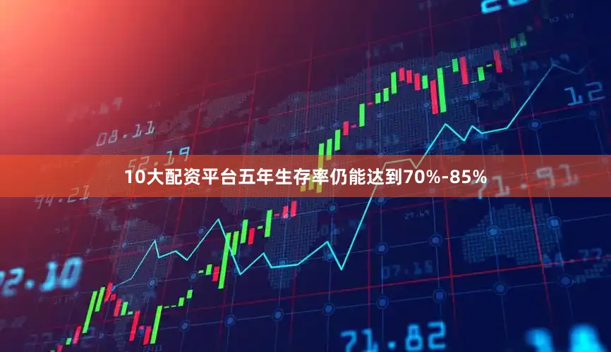 10大配资平台五年生存率仍能达到70%-85%